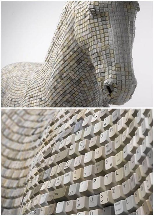 Funny Cool Crazy Pictures