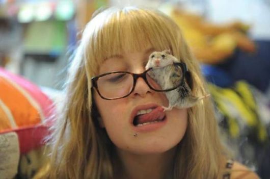 Funny Cool Crazy Pictures