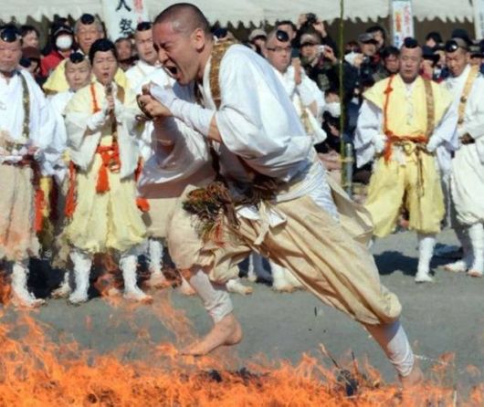 Funny Cool Crazy Pictures