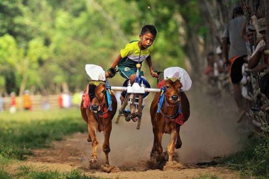 Funny Cool Crazy Pictures