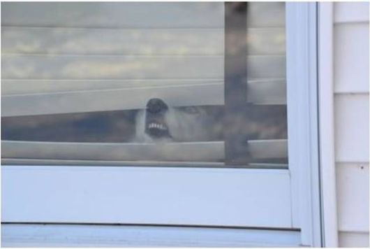 Funny Cool Crazy Pictures