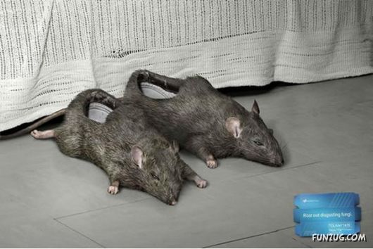 Amazing Funny N Creative Slippers