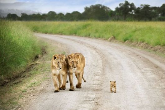 Funny Timeline Pix With Captions