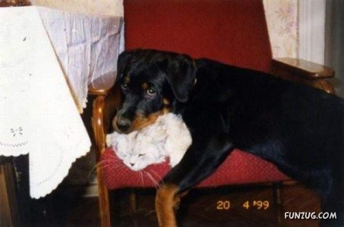 Just Laugh And Laugh