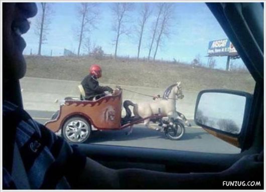 Funny Odd Things On The Road 