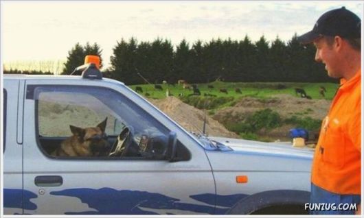 Funny Odd Things On The Road 