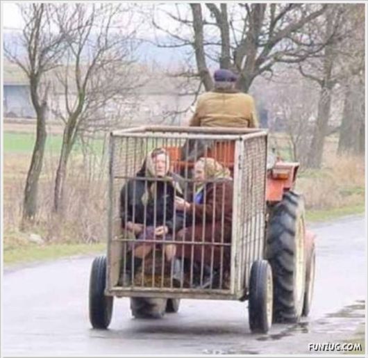 Funny Odd Things On The Road 