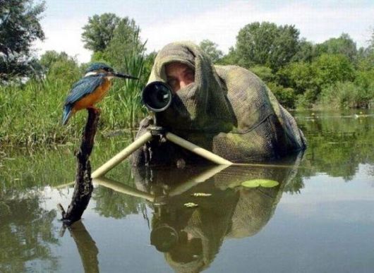 Funny Photographers And Their Photography Efforts