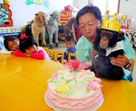 A Selection Of Funny Pictures