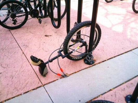 A Selection Of Funny Pictures