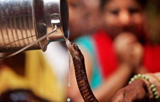 A Selection Of Funny Pictures