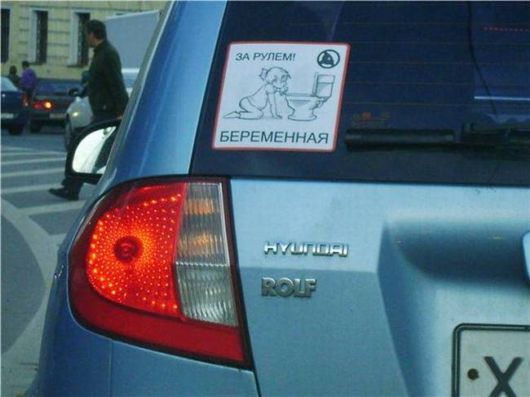 A Selection Of Funny Pictures