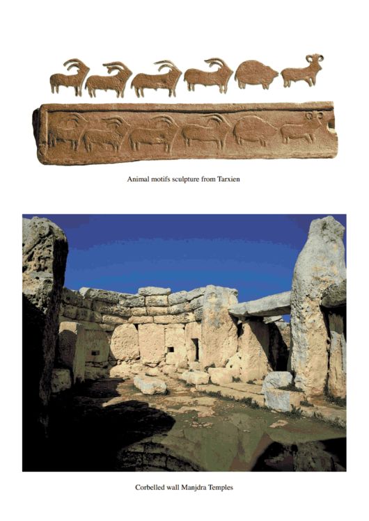 List Of The Most informative Shoplifted Items