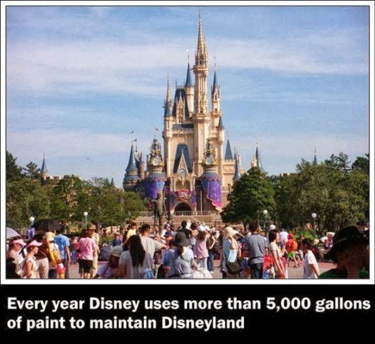 Random Interesting Facts Of The Week