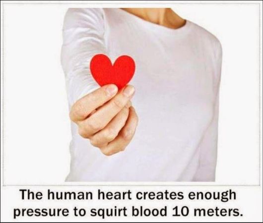 25 Various Interesting Facts Of The Month