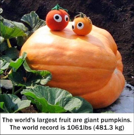 25 Various Interesting Facts Of The Month