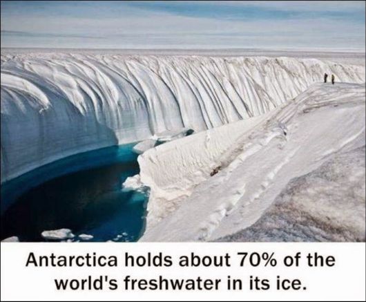 25 Various Interesting Facts Of The Month