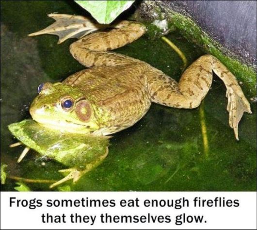 25 Various Interesting Facts Of The Month