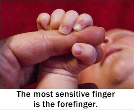 25 Various Interesting Facts Of The Month