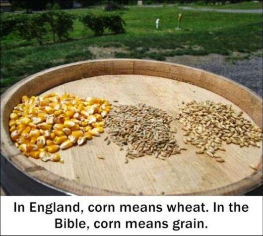 25 Various Interesting Facts Of The Month