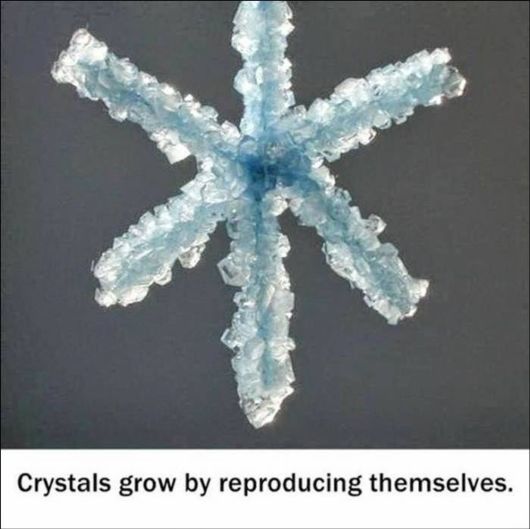 25 Various Interesting Facts Of The Month