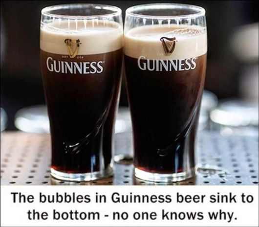 25 Various Interesting Facts Of The Month