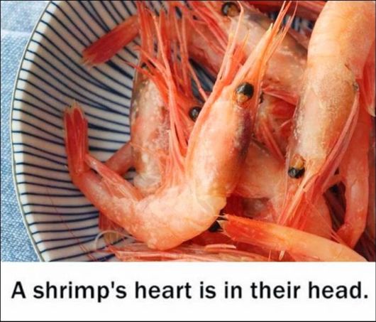 25 Various Interesting Facts Of The Month