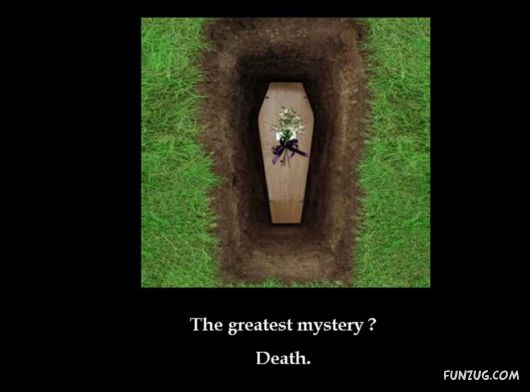 Feel The Power of Love