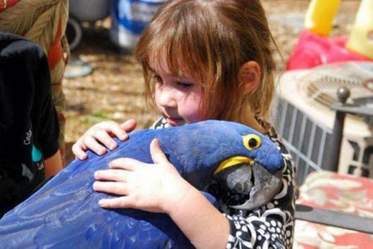 A Selection Of Awesome Cool Photos