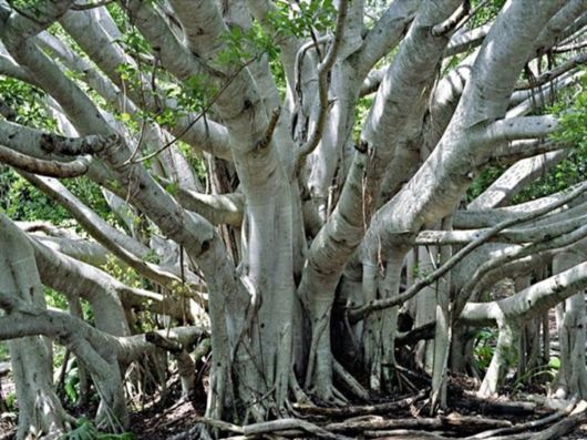 Magnificent Images Worth 1000 Words