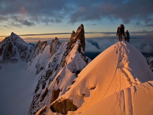 Magnificent Images Worth 1000 Words