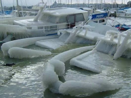 Magnificent Images Worth 1000 Words