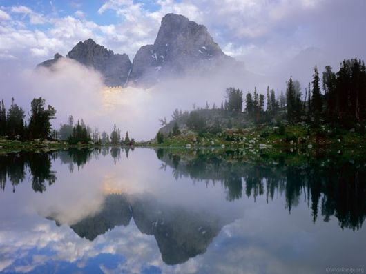 Magnificent Images Worth 1000 Words