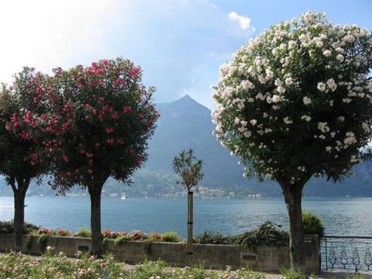 Magnificent Images Worth 1000 Words