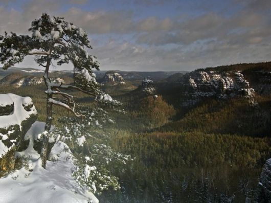 Magnificent Images Worth 1000 Words