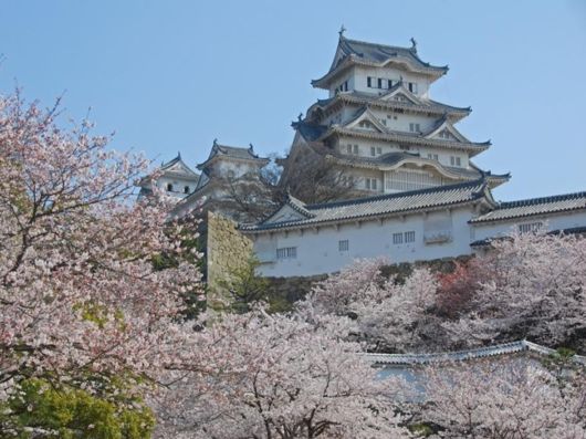 Magnificent Images Worth 1000 Words