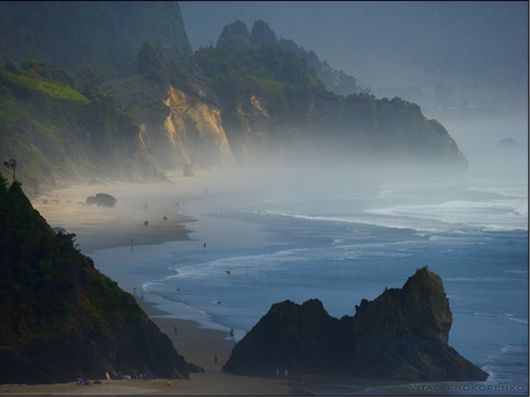 Magnificent Images Worth 1000 Words