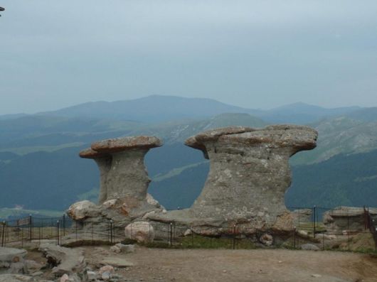 Magnificent Images Worth 1000 Words