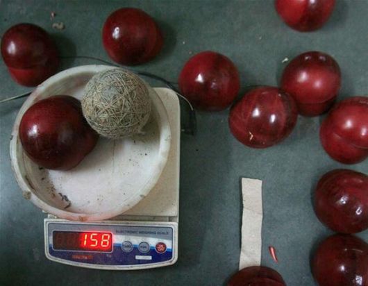 The Making Of A Cricket Ball