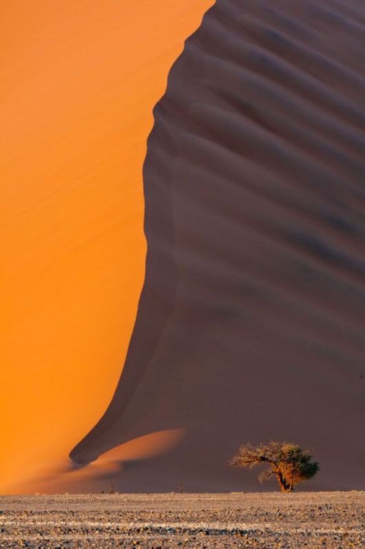 Smithsonian Magazine's 10th Annual Photo Contest