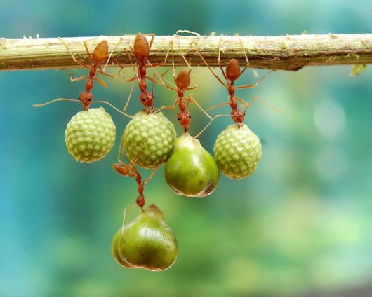 Smithsonian Magazine's 10th Annual Photo Contest