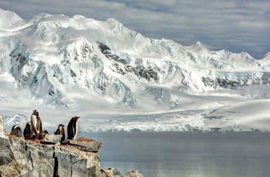 Smithsonian Magazine's 10th Annual Photo Contest