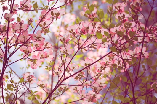 International Garden Photographers Of The Year