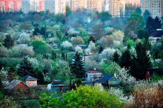 International Garden Photographers Of The Year