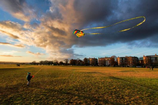International Garden Photographers Of The Year