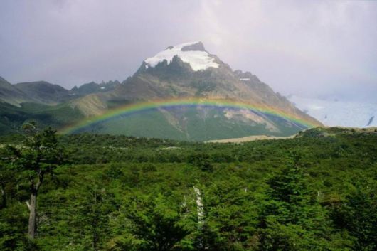 Amazing Rainbows in the Sky
