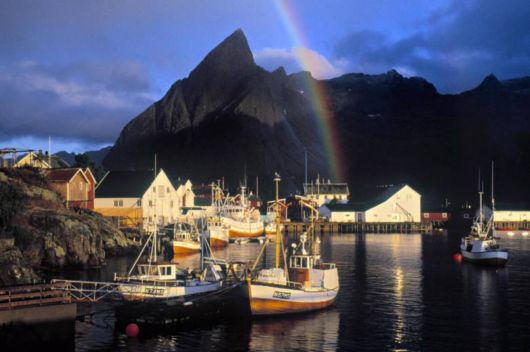 Amazing Rainbows in the Sky