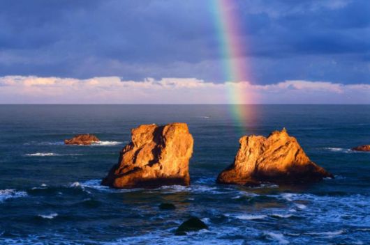 Amazing Rainbows in the Sky