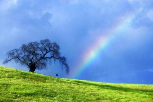 Amazing Rainbows in the Sky