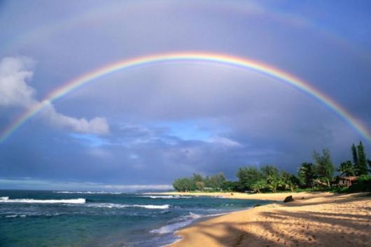 Amazing Rainbows in the Sky